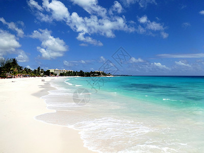 巴巴多斯美丽的碧海与白沙滩背景图片