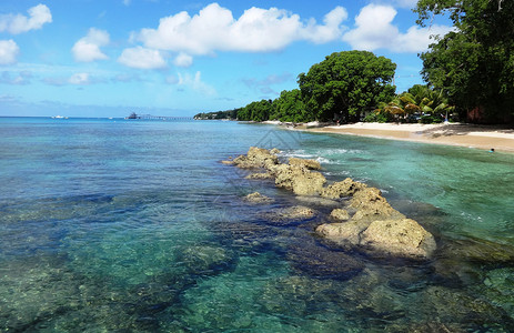 世界著名旅游岛巴巴多斯美丽的海与沙滩风光奇秀海景迷人是驰名世界的海岛度假胜地背景