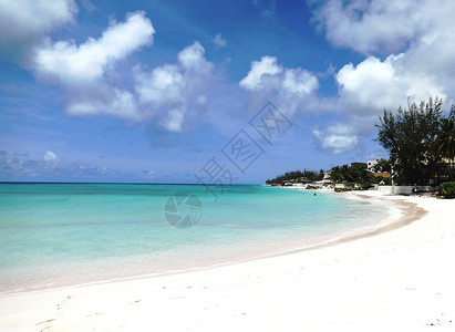 蓝天下白沙滩巴巴多斯美丽的白沙滩背景
