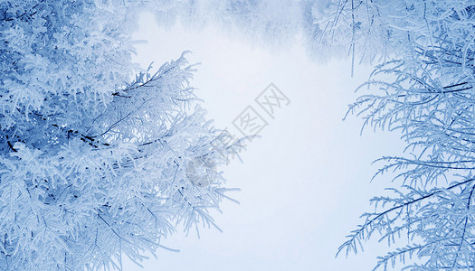 下雪背景图片