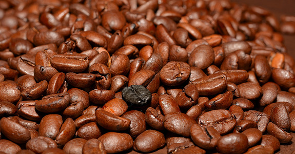 特殊的咖啡豆背景图片