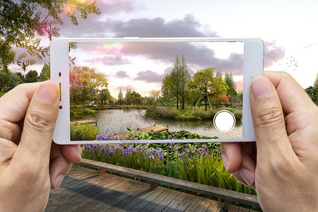 公园园林手机拍摄设计图片