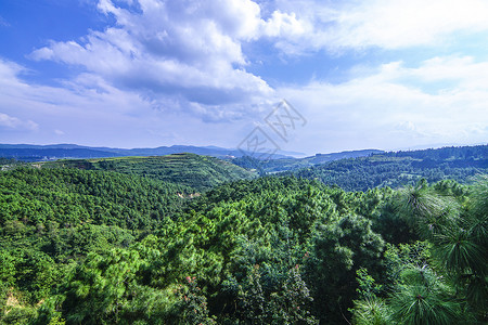 云南澄江帽天山自然保护区背景