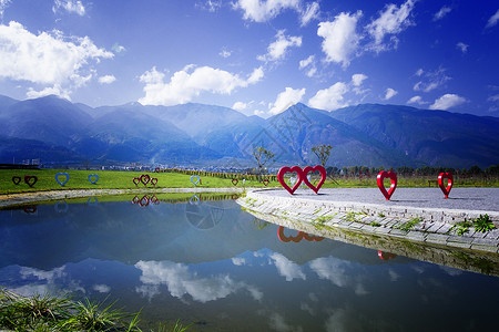 云南花语牧场大理苍山鲜花背景