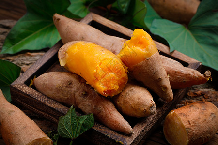 黄心番薯背景图片