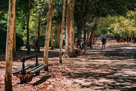 法国海德堡公园长椅上休闲的人背景