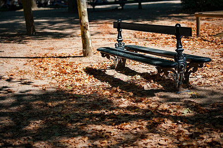法国海德堡公园长椅高清图片