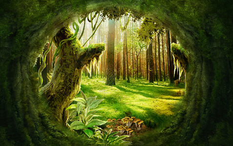 大蘑菇梦幻森林设计图片
