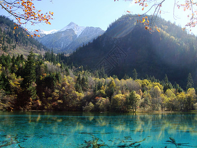 秋天旅游胜地美哉九寨沟背景