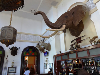 莫桑比克酒店内酒吧墙饰动物崇拜图片