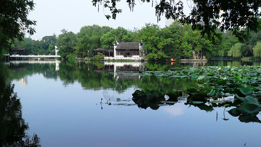 浮庄安徽合肥休闲游玩景点包河公园清凉之夏背景