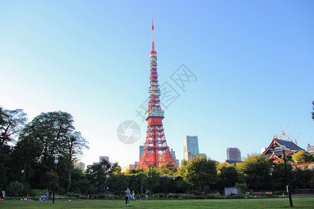 日本东京塔背景图片