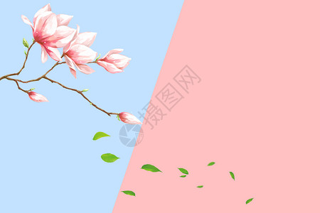 拼色花卉背景图片
