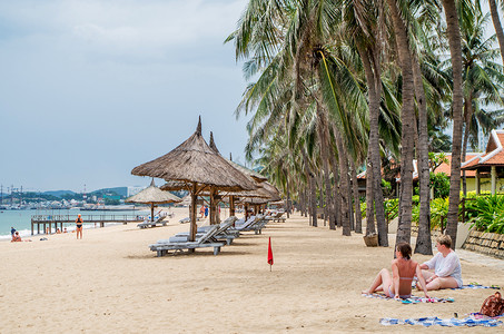 沙滩上椰子树越南芽庄海滩风景背景