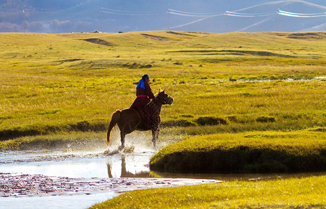 内蒙古自治区乌兰布统景区秋色马高清图片素材