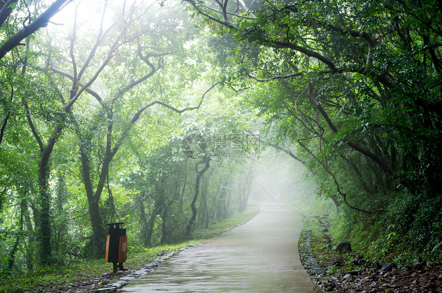 雨后的大蜀山图片