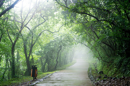 合肥大蜀山雨后的大蜀山背景