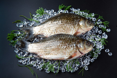 生鲜鱼食材高清图片素材