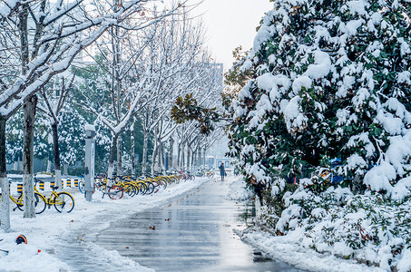 大雪后的天鹅湖公园背景