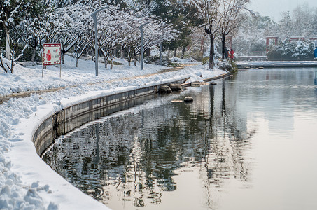 大雪后的天鹅湖公园背景