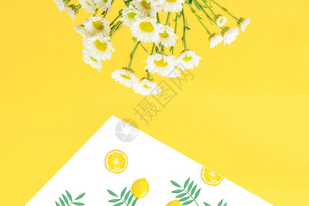 淡雅黄色鸡蛋花拼色清新桌面设计图片