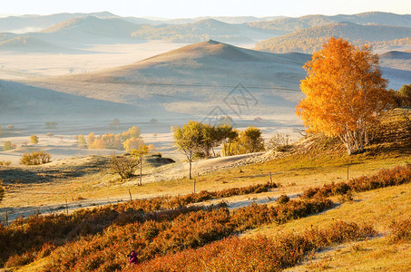 阿拉斯加秋景内蒙古自治区乌兰布统敖包吐景区背景