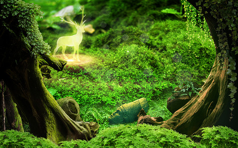 云南原始森林梦幻森林设计图片