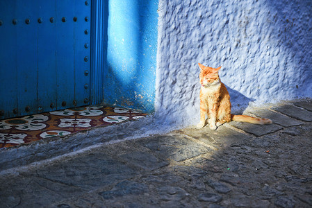 橙色房子摩洛哥蓝色之城舍夫沙万背景