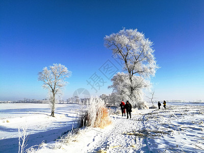 韩屯镇吉林雾凇岛冰雪天地宛如仙境背景