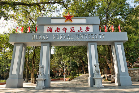 湖南师范大学香樟高清图片素材