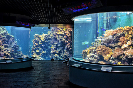 台湾垦丁水族馆台湾垦丁海生馆背景