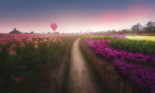 花街铺地花海背景