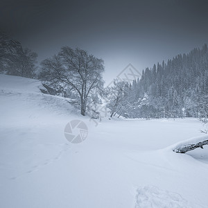 冰雪天地背景图片