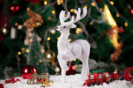 雪中灯光圣诞节麋鹿背景