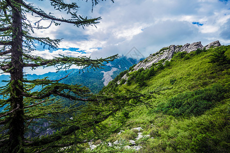 山海经朱雀西安朱雀山国家森林公园背景