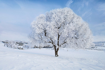 雾凇雪挂冬季雪景设计图片