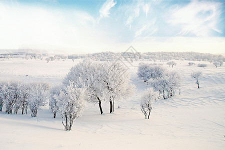 雾凇雪挂冬季雪景设计图片