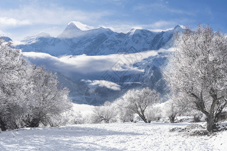 雪地骑马冬季雪景设计图片