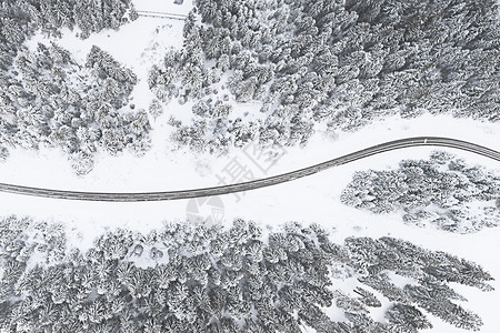 庐山雾凇冬季雪景设计图片