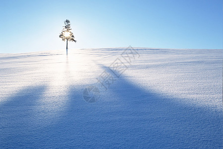 凛冬已至冬季雪景设计图片