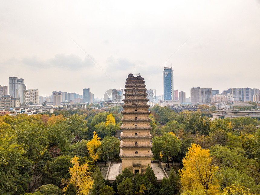 秋天的小雁塔图片