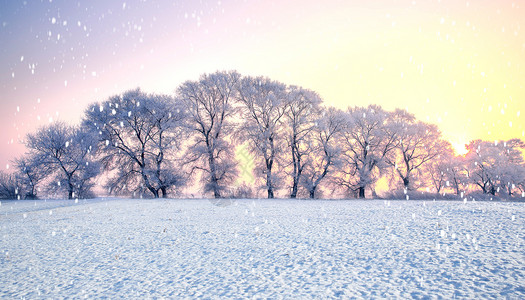 日落雪景冬季场景设计图片