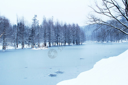 南京中山陵冬季雪景图片