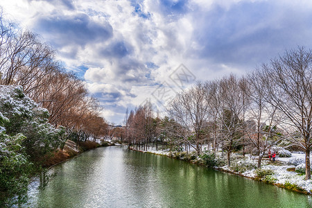 冬雪背景图片