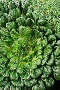 新鲜蔬菜西兰花高清图片素材
