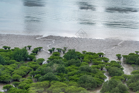 澳门百老汇酒店对面海边自然生态环境图片