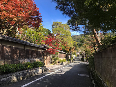 京都秋景日本京都小径秋景背景