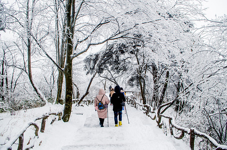 冬季节气黄山雾凇雪景背景