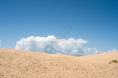 青海湖沙化区背景图片