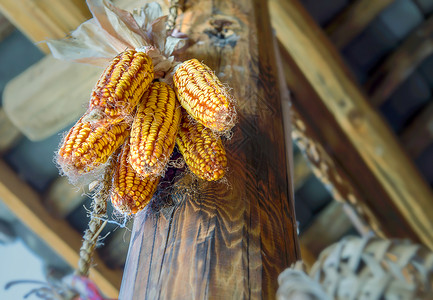 农家房梁上的老玉米高清图片